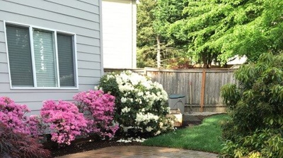 A brick walkway in a backyard with plants and shrubs around it Photo