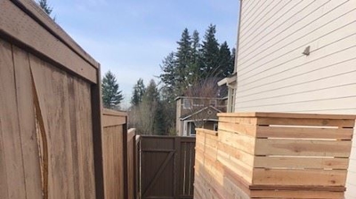 Before and After